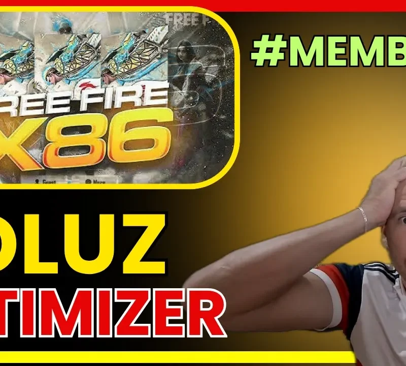 Dluz Optimize!
